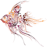 User avatar 1